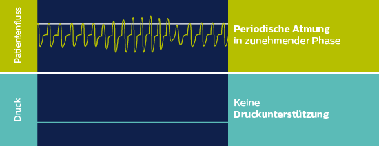 autoSV Algorithmus Crescendo Phase