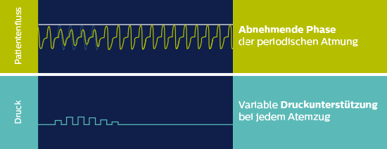 autoSV Algorithmus Unterstüzung nur bei Notwendigkeit