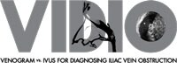 Vidio Logo