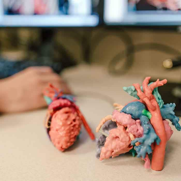 Cardiac 3D Print Lab de Phoenix