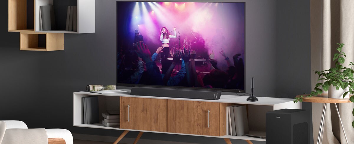 Ein modernes Wohnzimmer mit einem Fernseher, ergänzt durch passende Zubehörteile und stilvolle Möbel