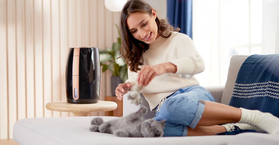 Comment nettoyer du vomi de chat sur un tapis ou une moquette ?