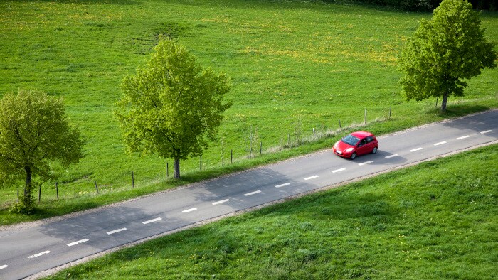 route en forêt