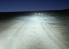 Ultinon Pro9200 LED